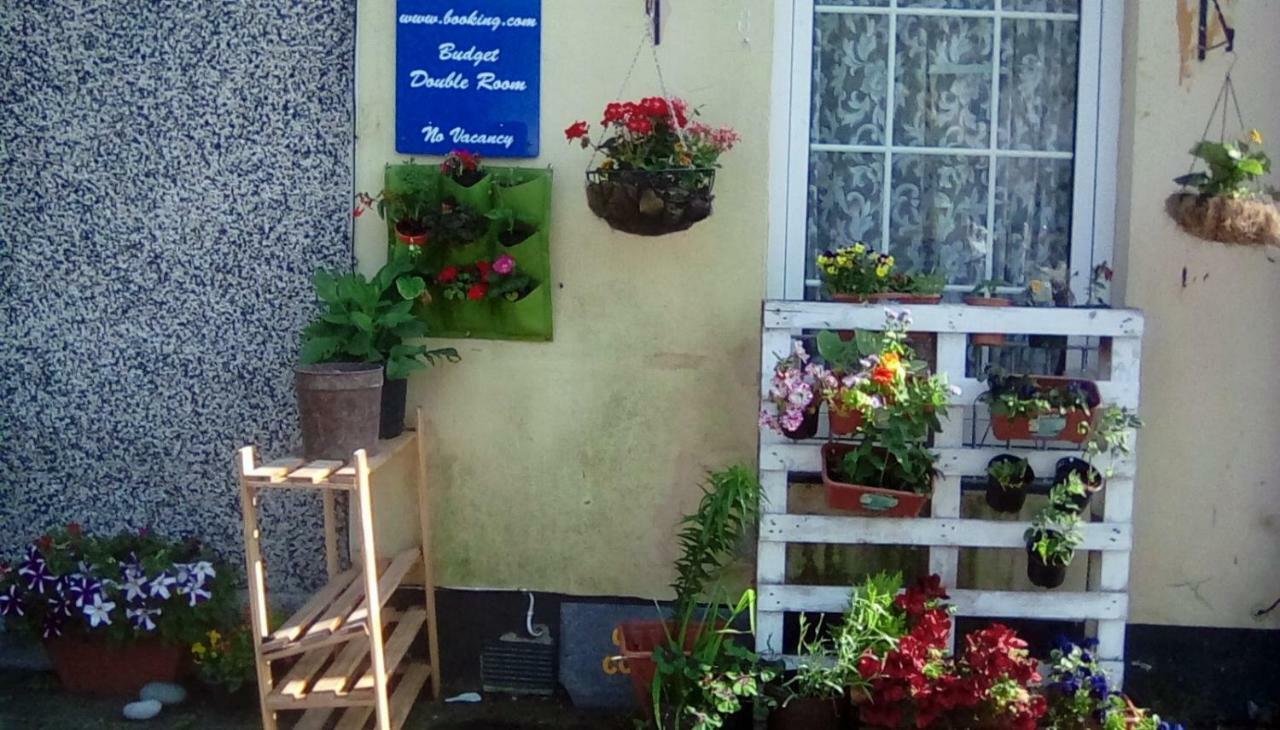 City Cottage Guest House Plymouth Bagian luar foto